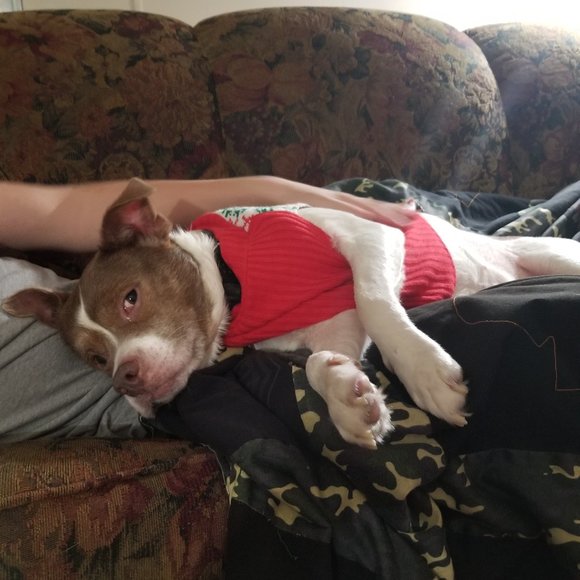 Meet your Posher, Jessica - Picture 6 of 6